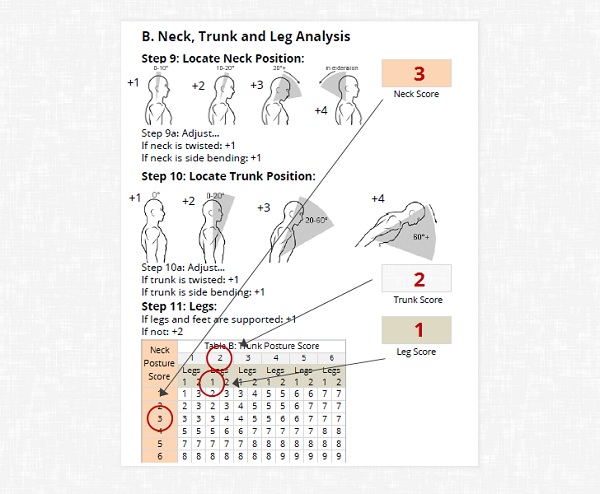 Postural Assessment Chart Pdf